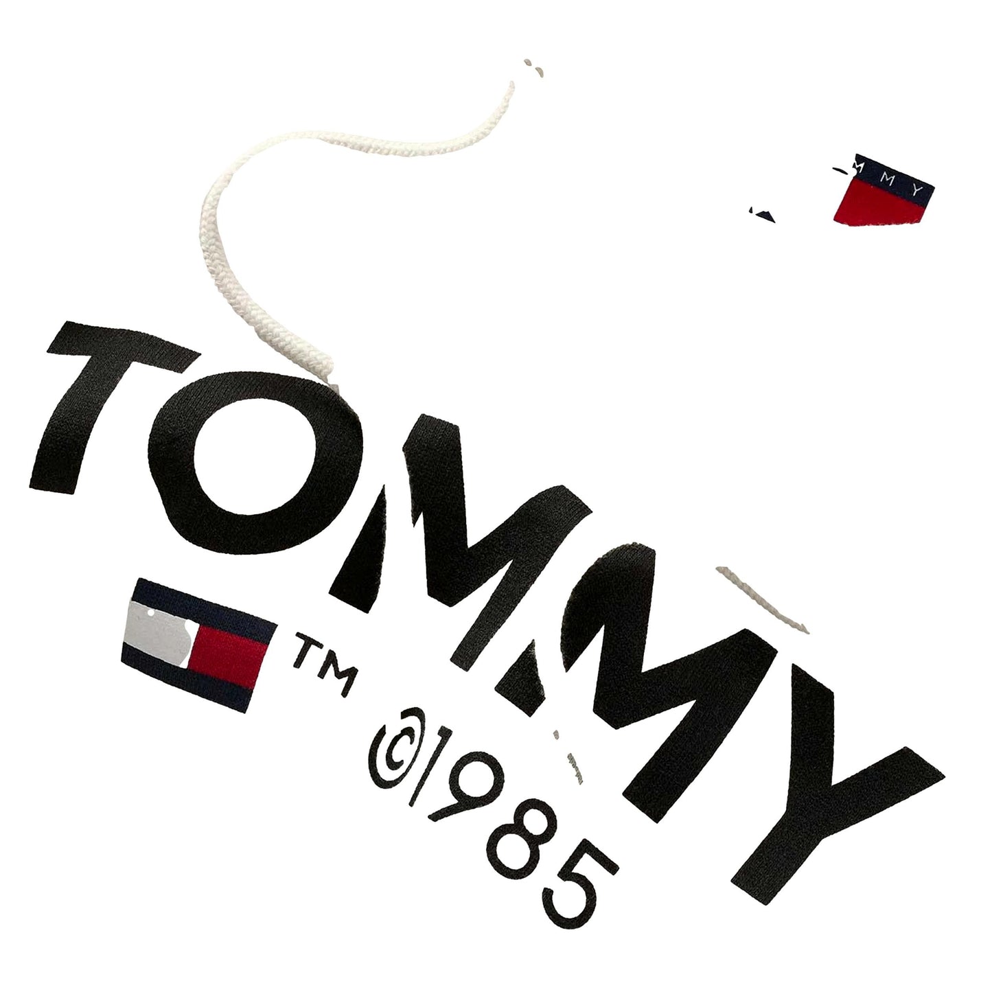 SUDADERA CAPUCHA TOMMY JEANS DM0DM18864