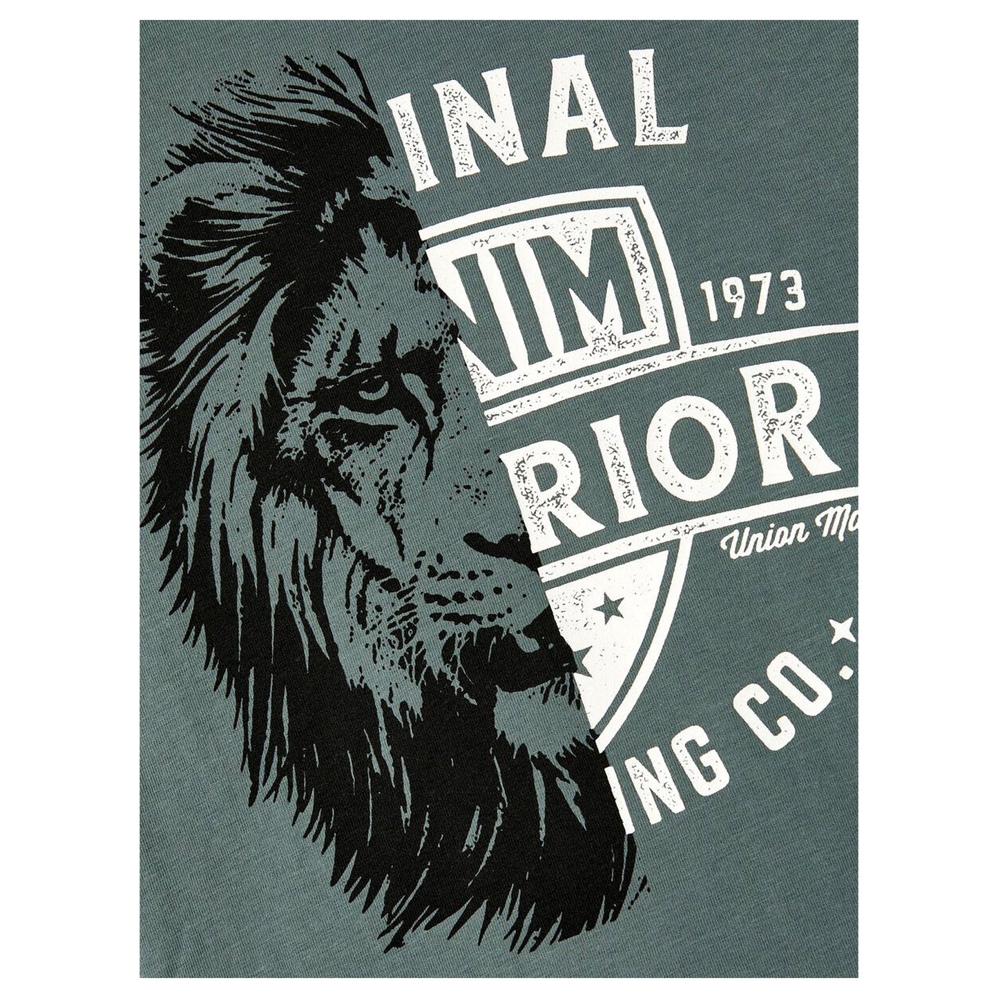 CAMISETA MANGA LARGA NIÑO NAME IT 13206582