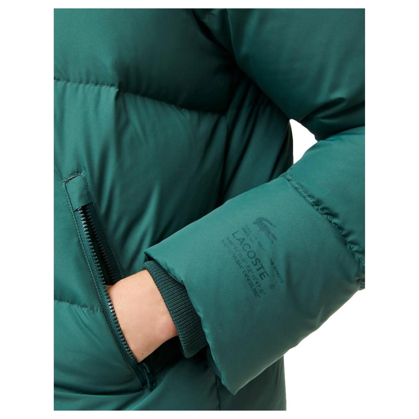 CHAQUETA MUJER LACOSTE BF0014