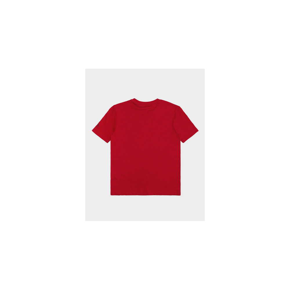 CAMISETA AIR JORDAN KIDS 95F483-R78