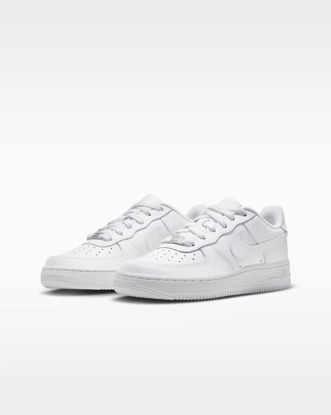 ZAPATILLAS NIKE AIR FORCE 1 LE DH2920