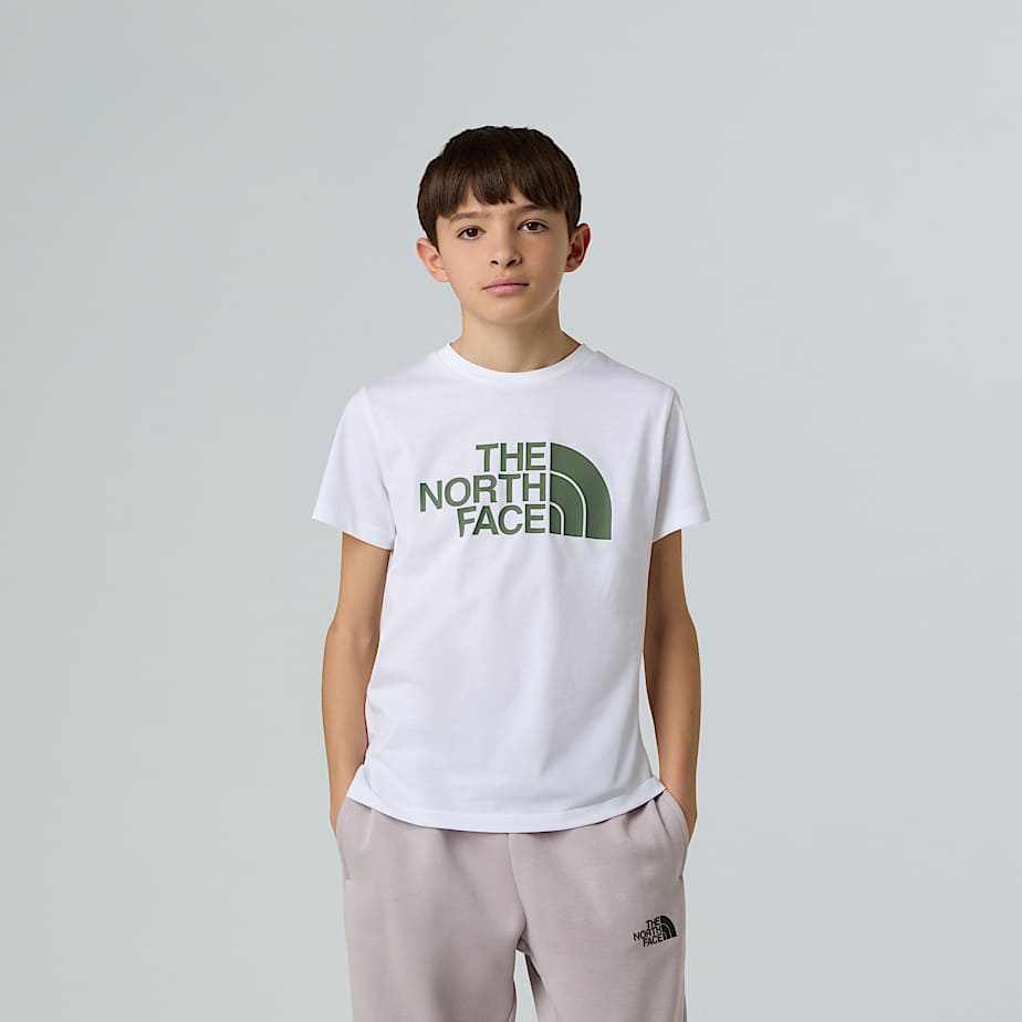 CAMISETA THE NORTH FACE NF0A8DRN9ZN