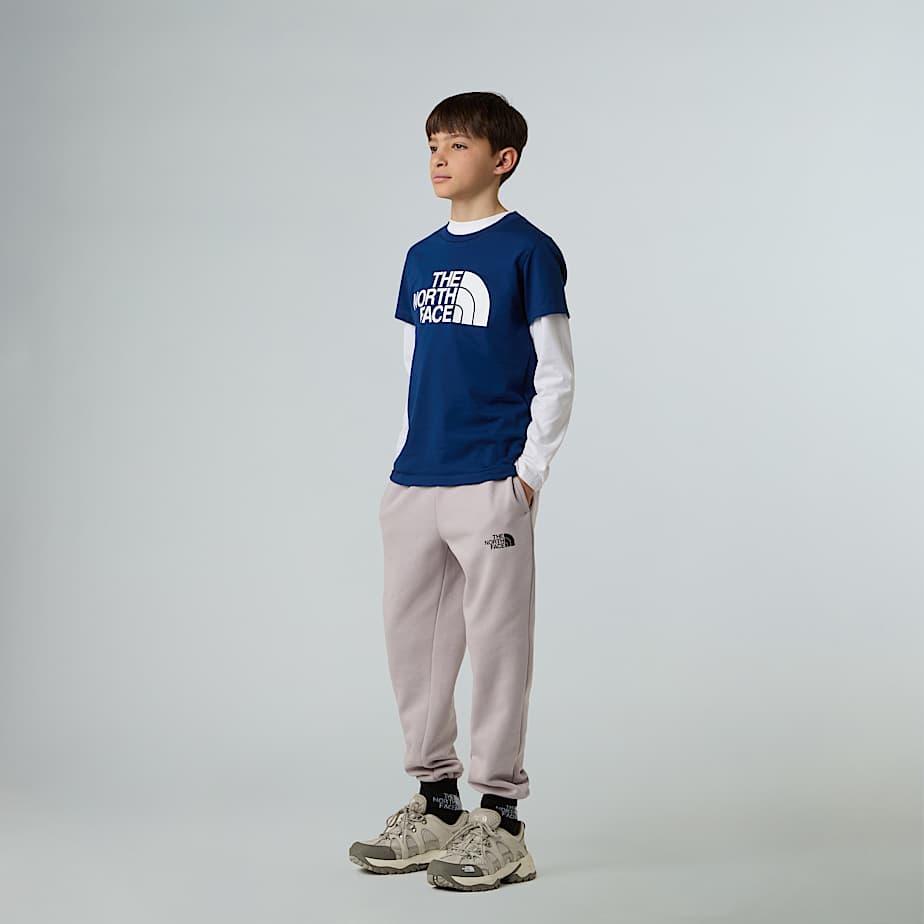 CAMISETA THE NORTH FACE NIÑO NF0A8DRND1R