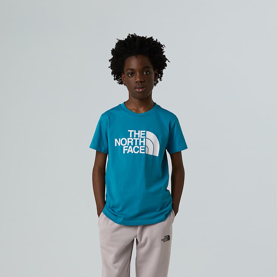 CAMISETA THE NORTH FACE NIÑO NF0A8DRN6HO