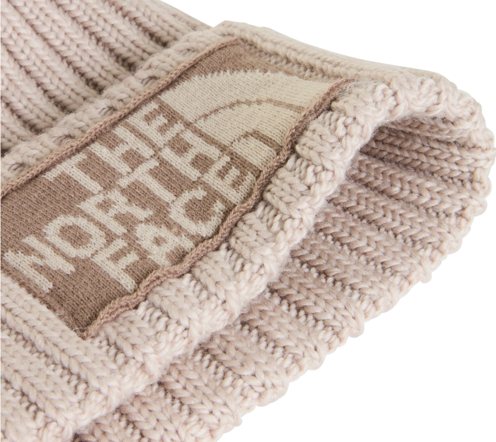 GORRO DE ESQUIAR THE NORTH FACE NF0A7WJOSN4