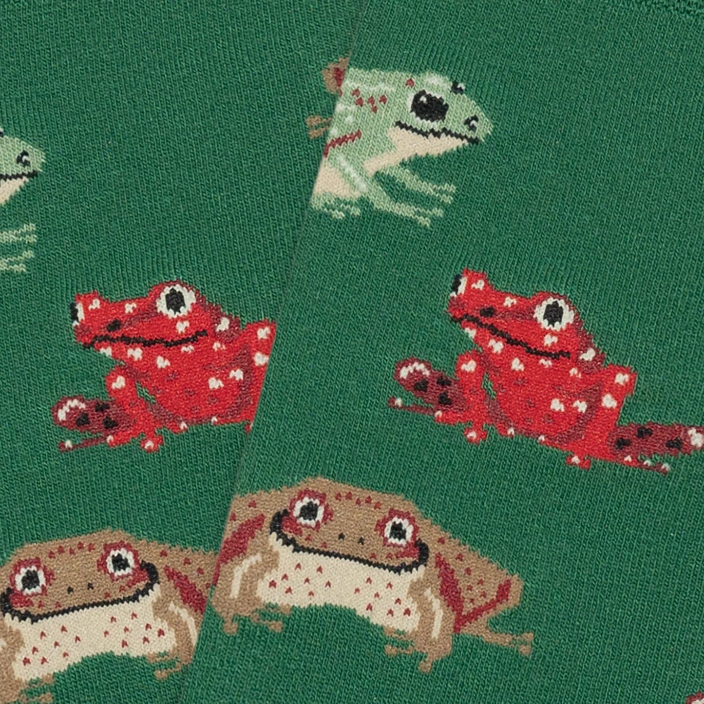 CALCETINES JIMMY LION FROGS