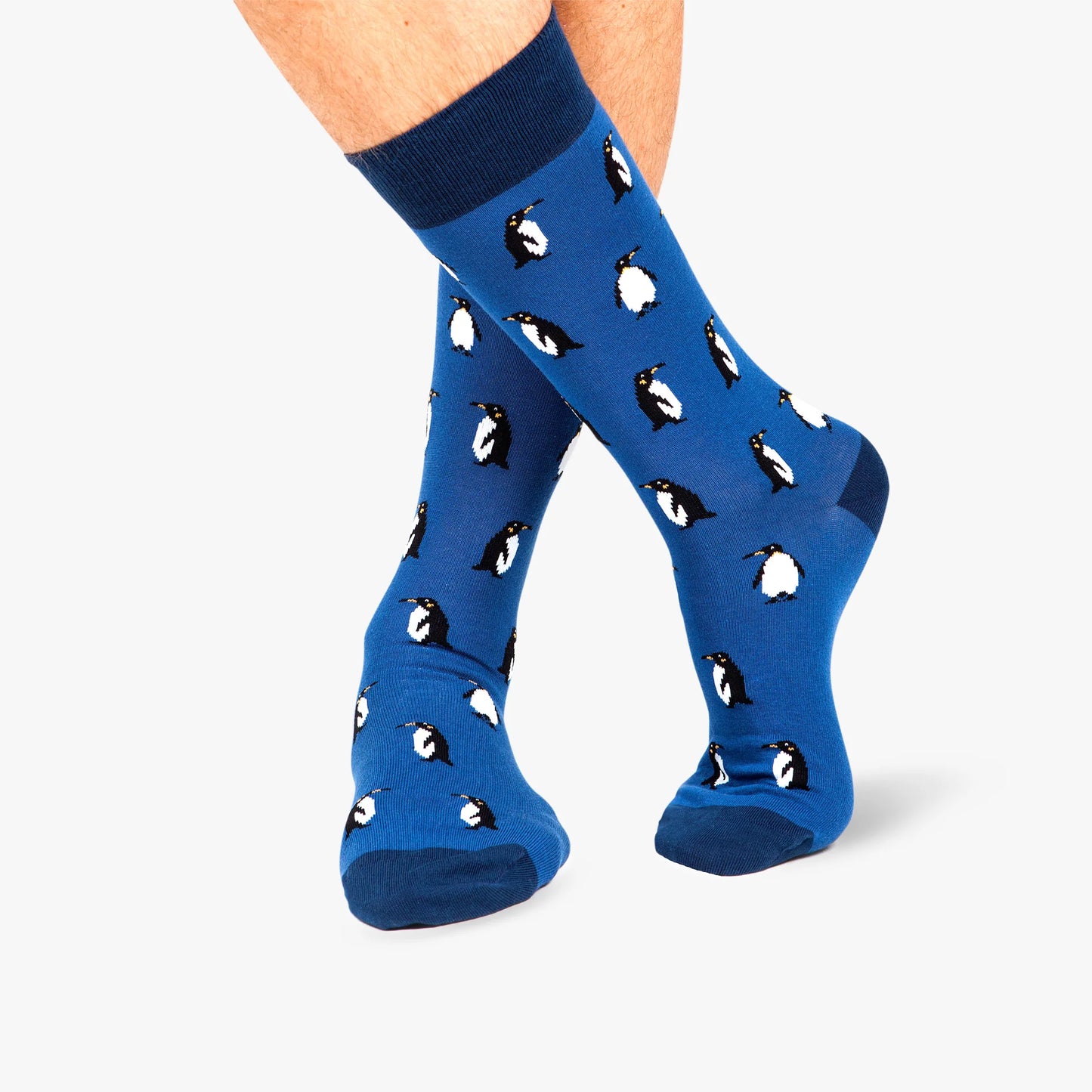 CALCETINES JIMMY LION PENGUINS