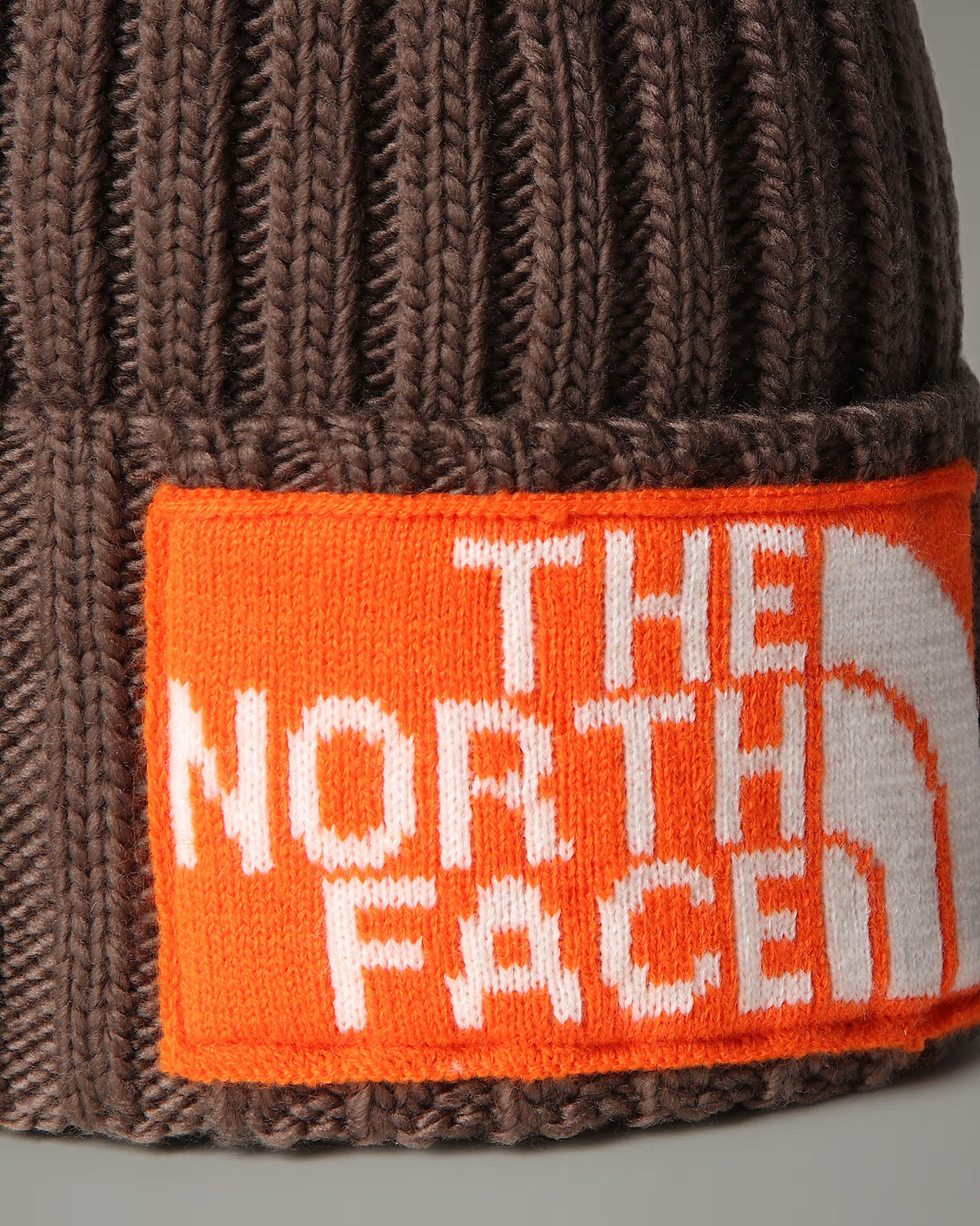 GORRO DE ESQUIAR THE NORTH FACE NF0A7WJO88O