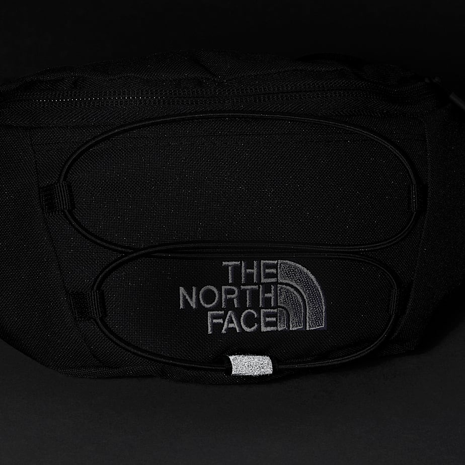 RIÑONERA THE NORTH FACE NF0A52TM4H0