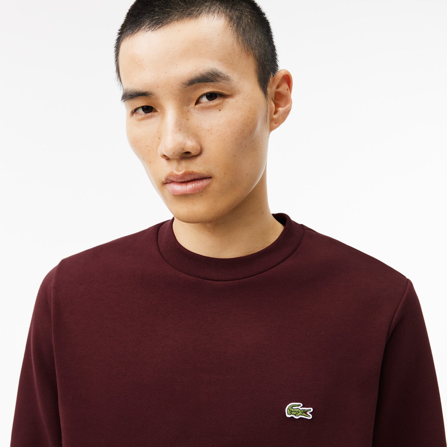 SUDADERA DE FELPA CEPILLADA LACOSTE SH960800