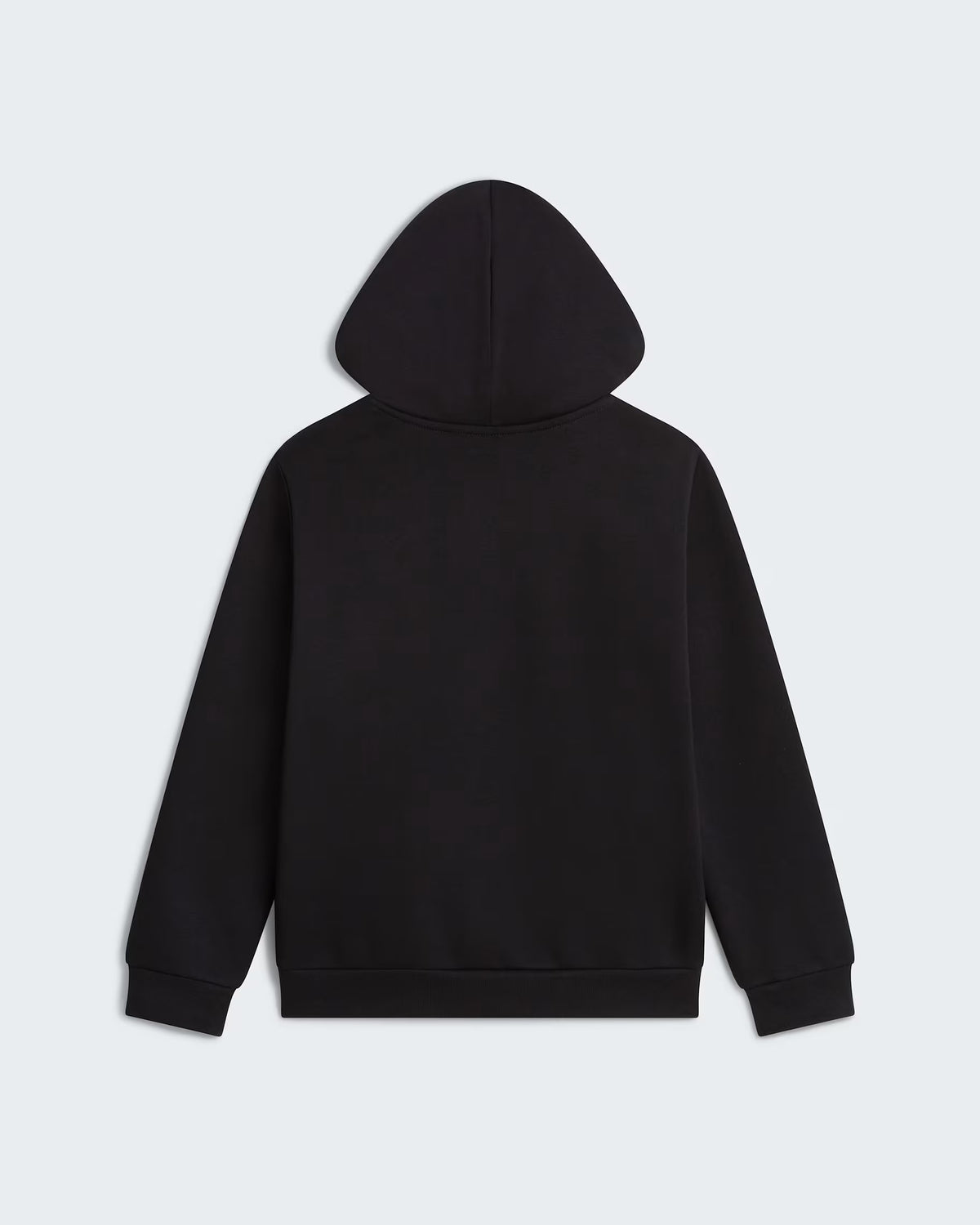 SUDADERA KIDS THE NORTH FACE EVOLUTION NF0A8CV6JK3