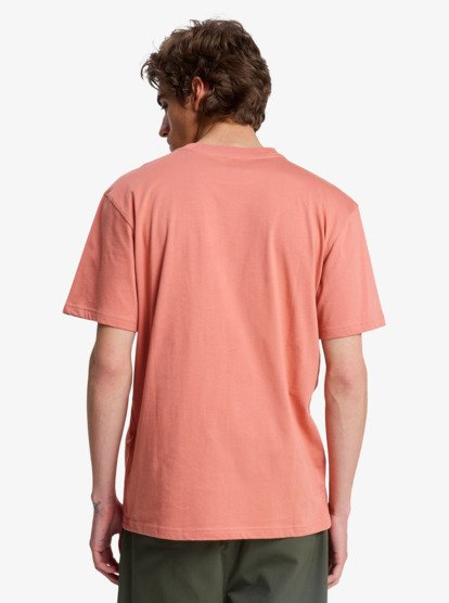 CAMISETA QUIKSILVER EV VISTA EQYZT08287