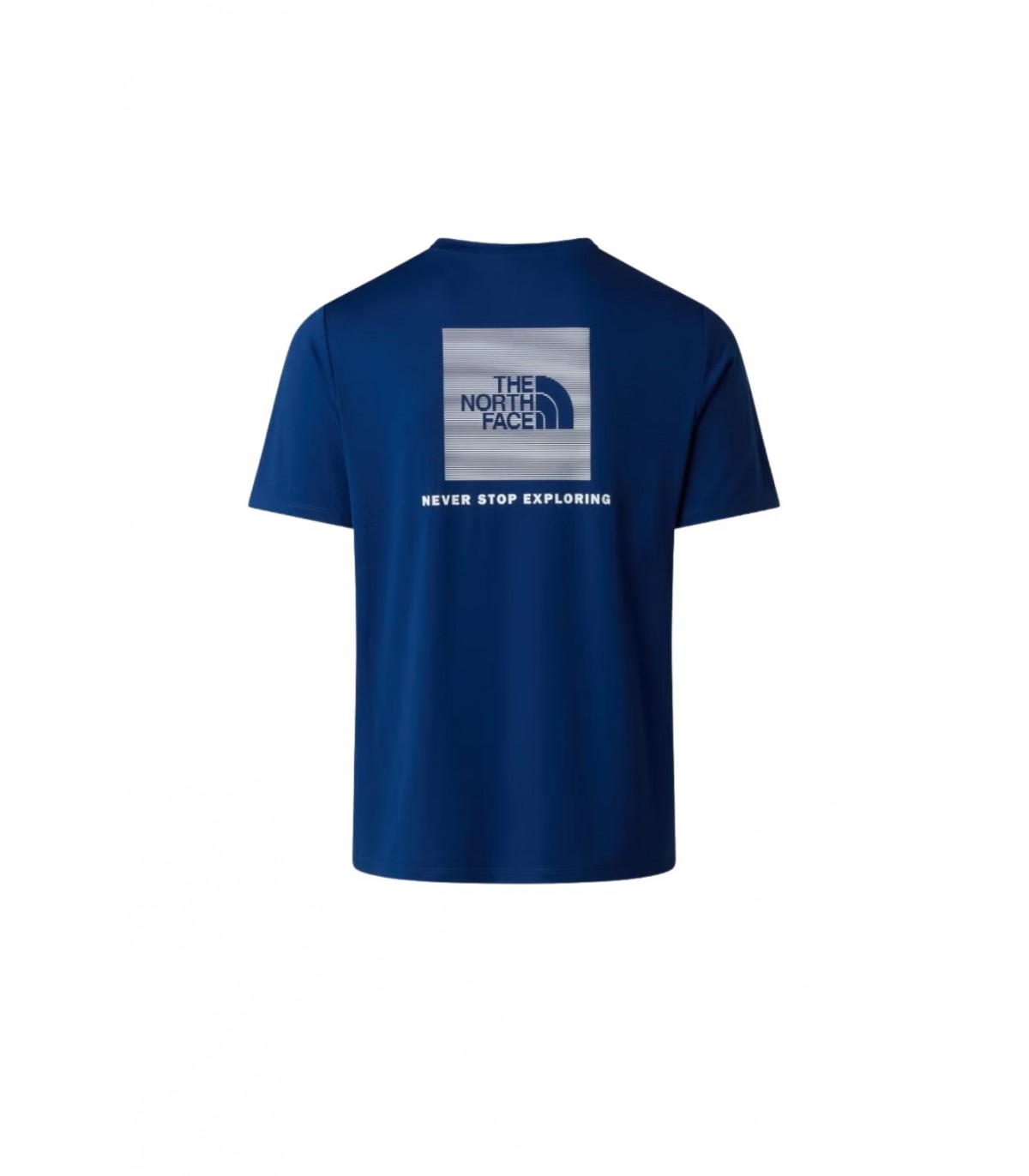 CAMISETA THE NORTH FACE ESTATE BLUE NF0A895MD1R