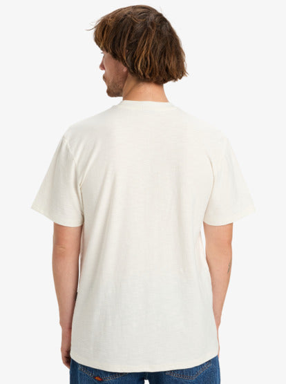 CAMISETA HOMBRE QUICKSILVER EQYKT04391