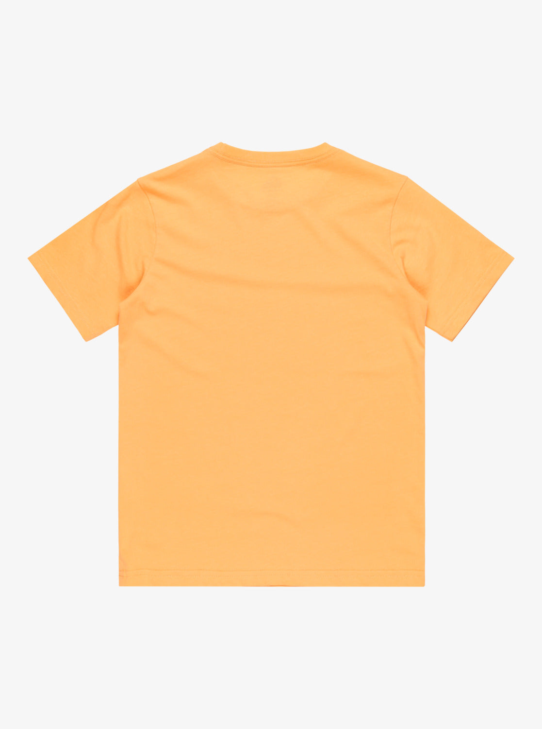 CAMISETA MANGA CORTA QUIKSILVER EQBZT04846