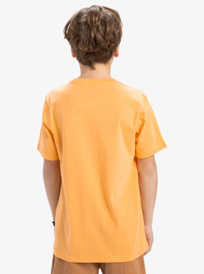 CAMISETA MANGA CORTA QUIKSILVER EQBZT04846