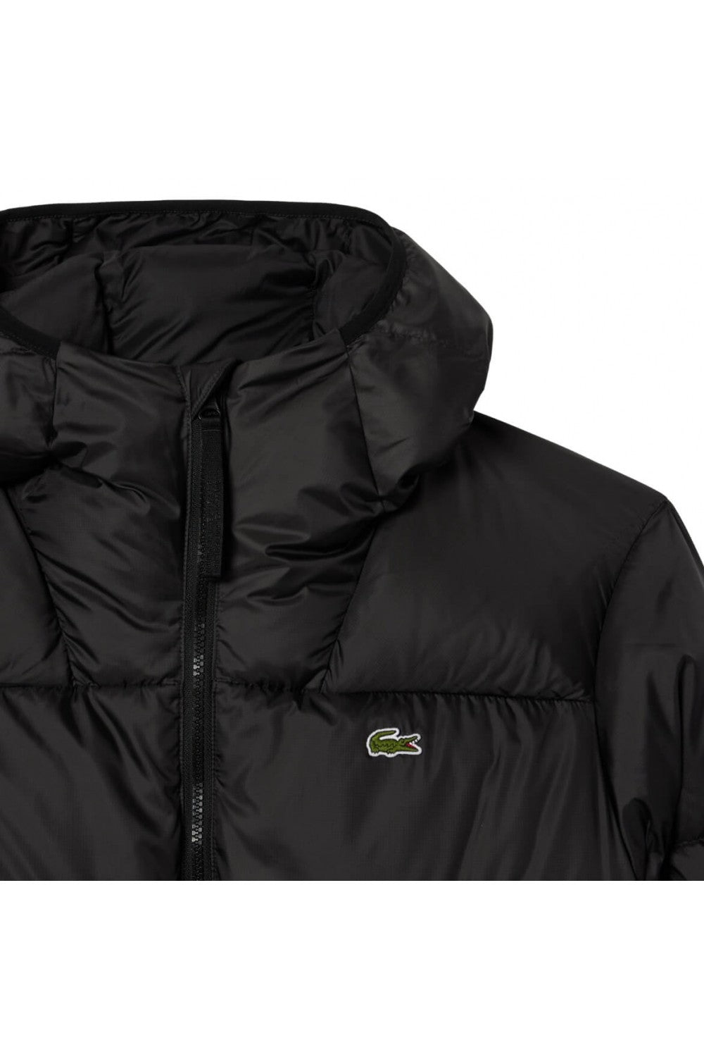ABRIGO LACOSTE HOMBRE