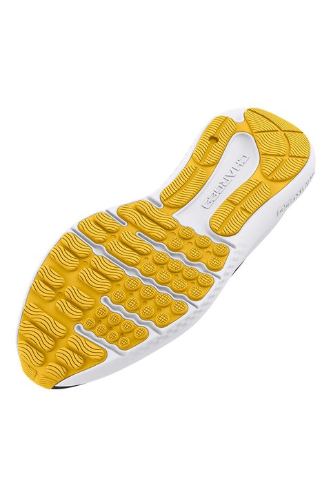 ZAPATILLAS UNDER ARMOUR RUNNING UA CHARGED SURGE 4 3027000