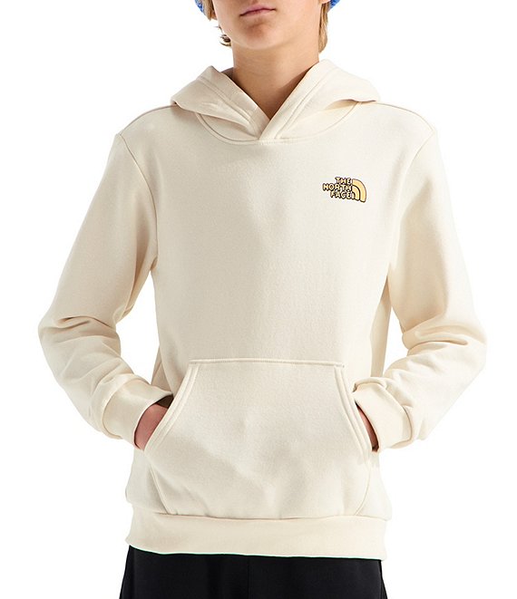 SUDADERA ESTAMPADA NIÑO THE NORTH FACE NF0A8JGZQLI