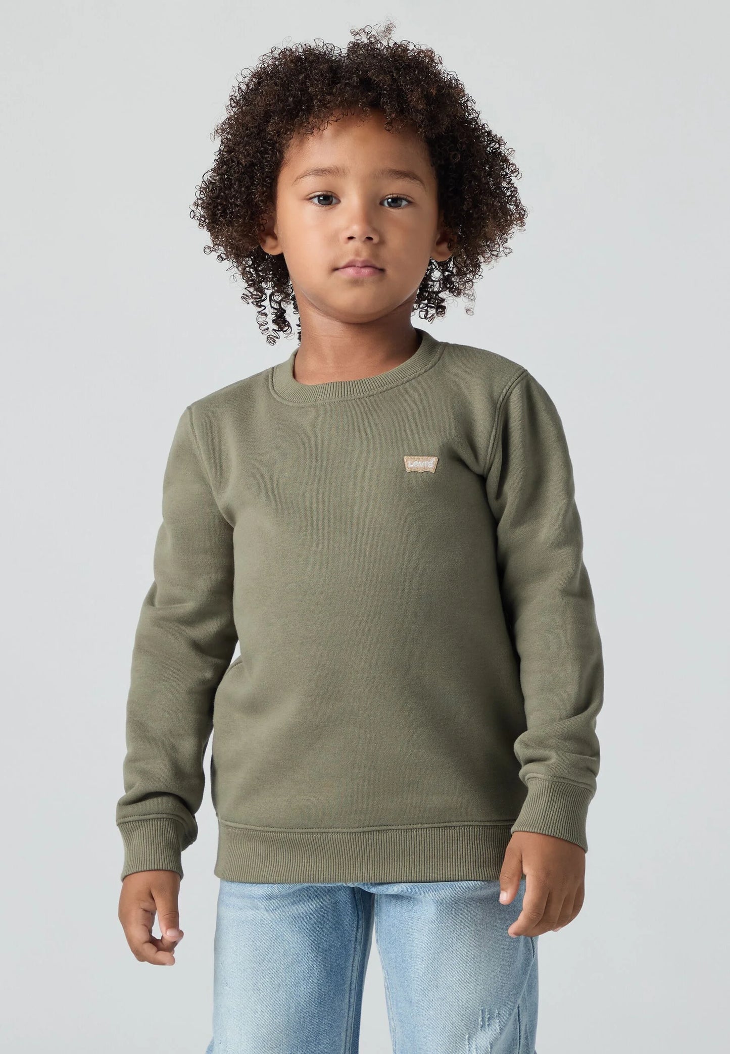 SUDADERA LEVIS NIÑO  8EE331-ENF