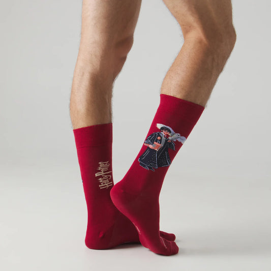 CALCETINES JIMMY LION HARRY POTTER  BOY