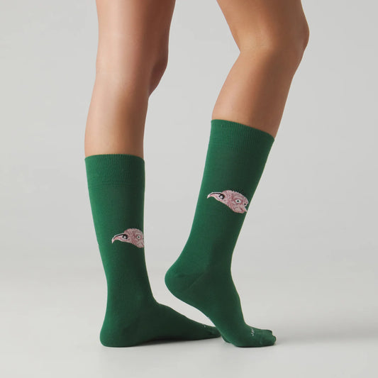 CALCETINES HARRY POTTER DOBBY JIMMY LION