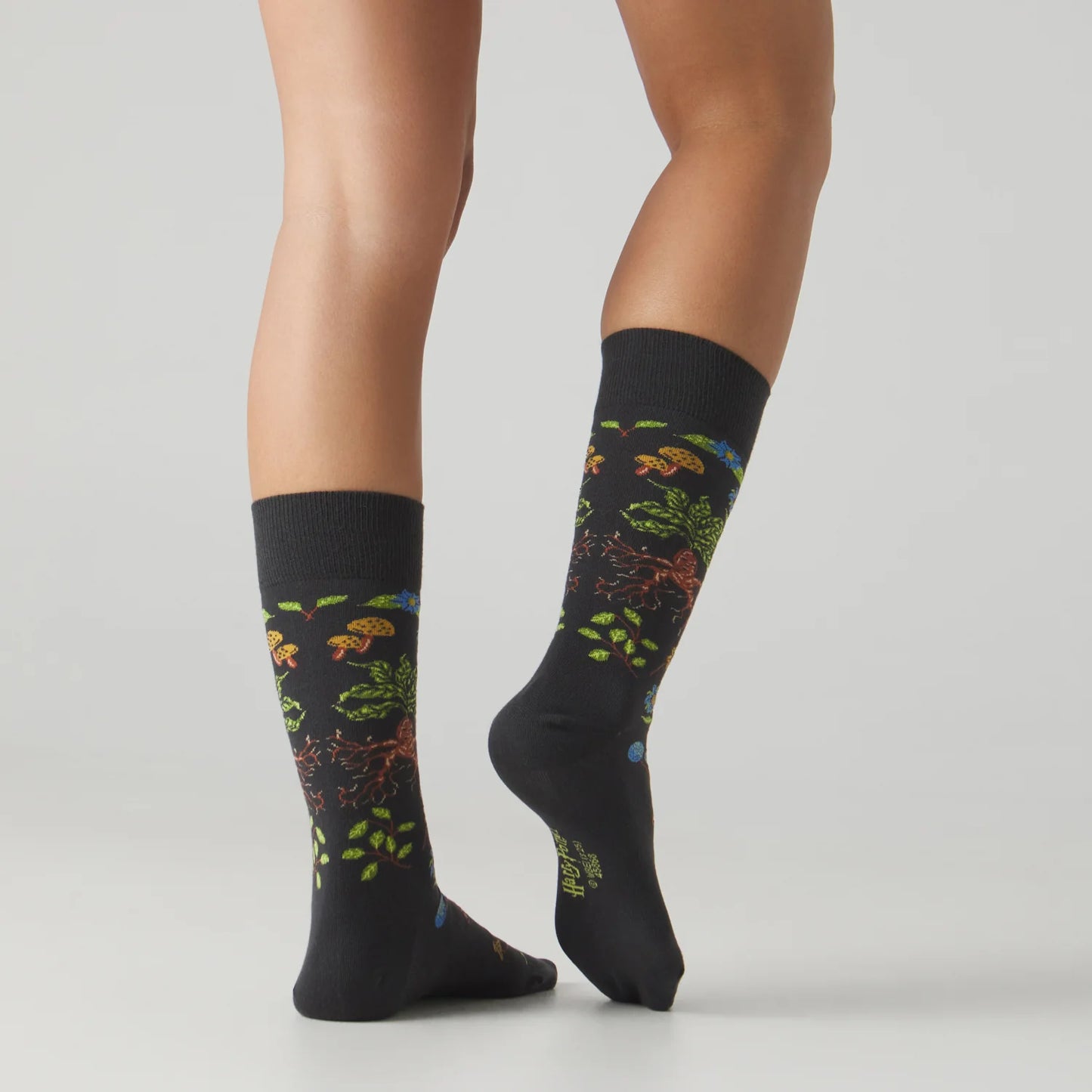 CALCETINES  HARRY POTTER HERBOLOGY SOCKS