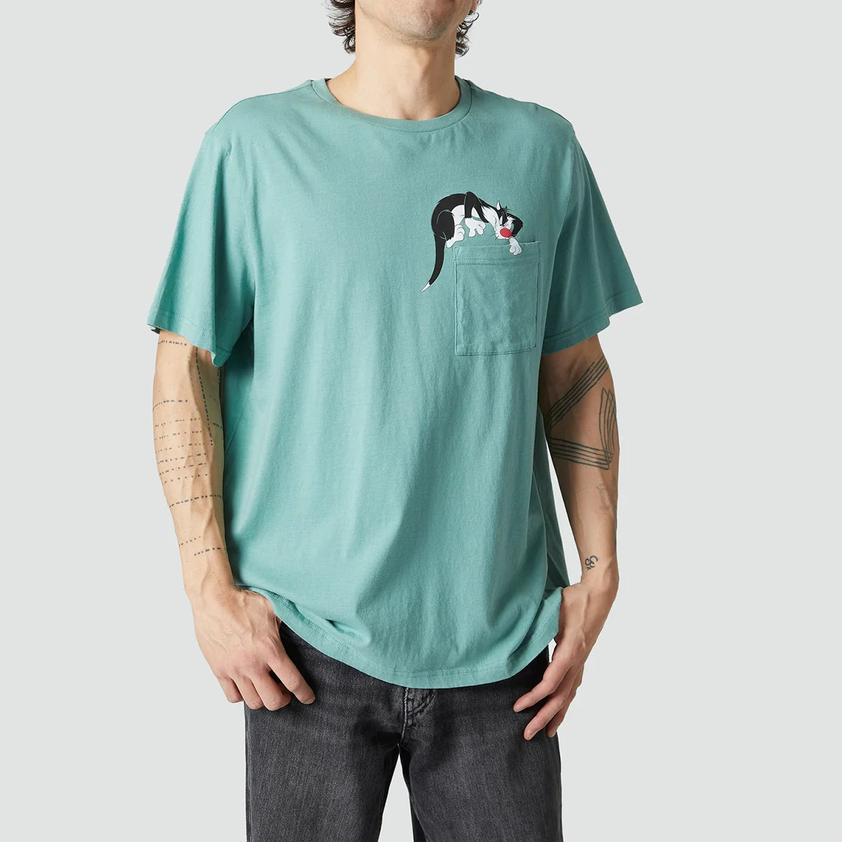 CAMISETA UNISEX JIMMY LION SILVESTER SAGE