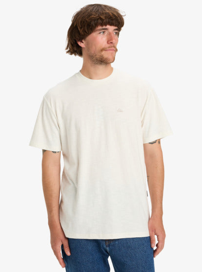 CAMISETA HOMBRE QUICKSILVER EQYKT04391