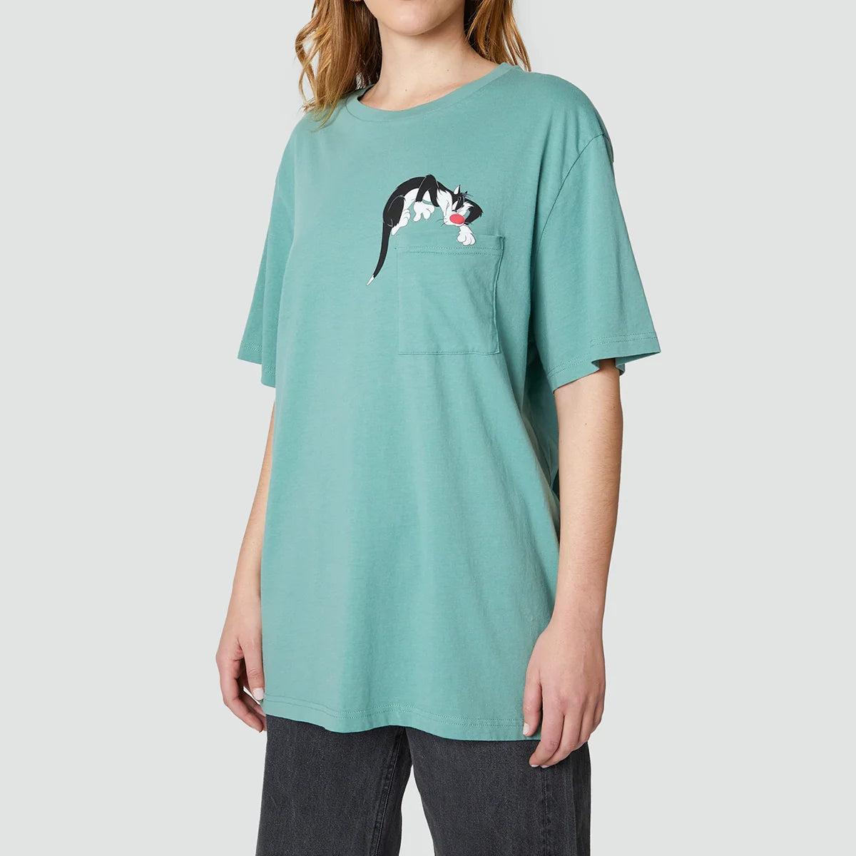 CAMISETA UNISEX JIMMY LION SILVESTER SAGE