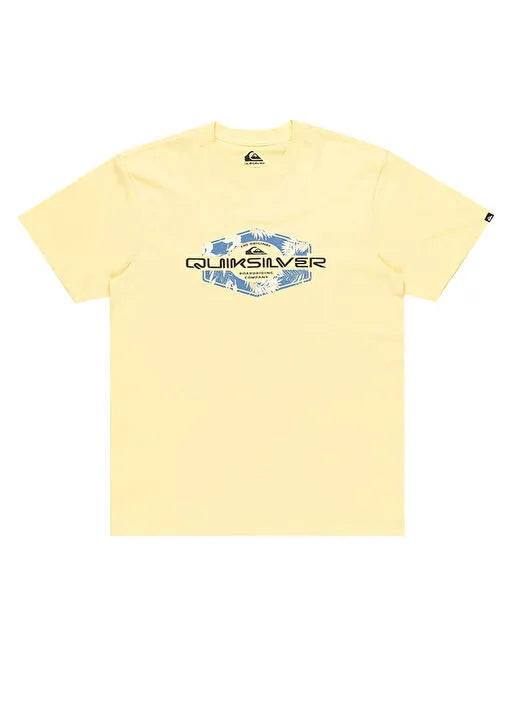 CAMISETA QUIKSILVER EQYZT08063