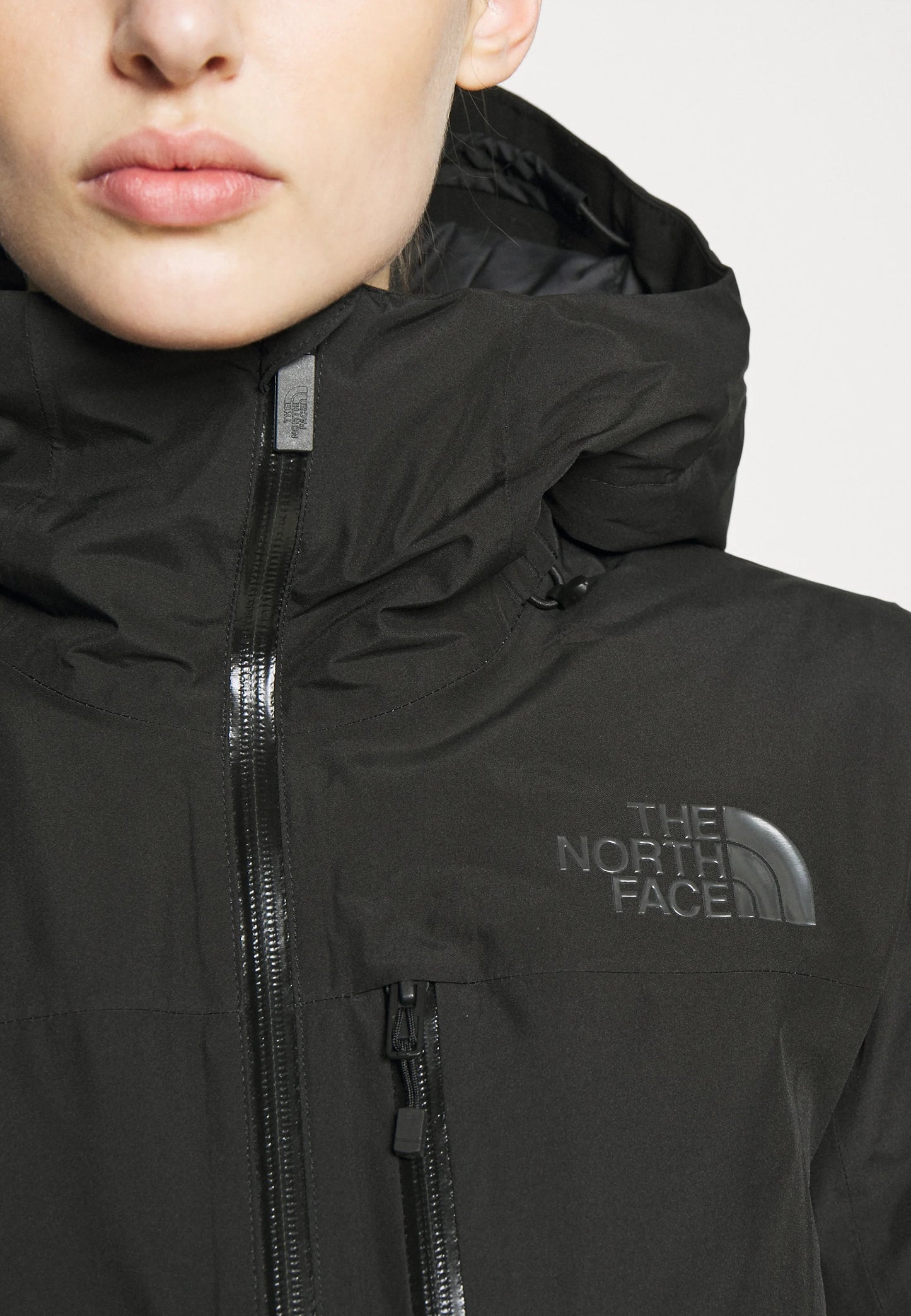 CHAQUETA THE NORTH FACE DESCENDIT MUJER NF0A87XFJK3