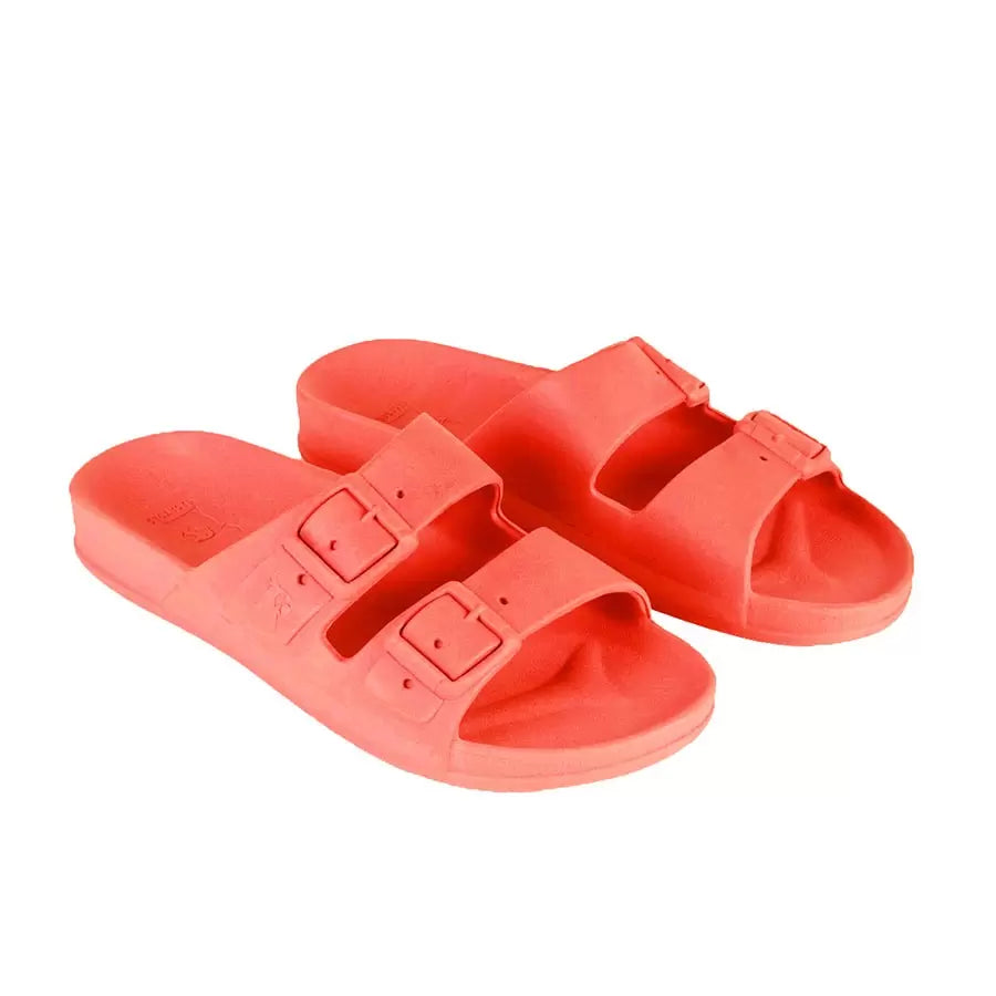 CHANCLAS CACATOES RIO DE JANEIRO CORAIL