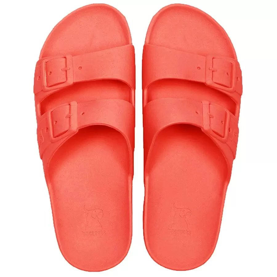 CHANCLAS CACATOES RIO DE JANEIRO CORAIL