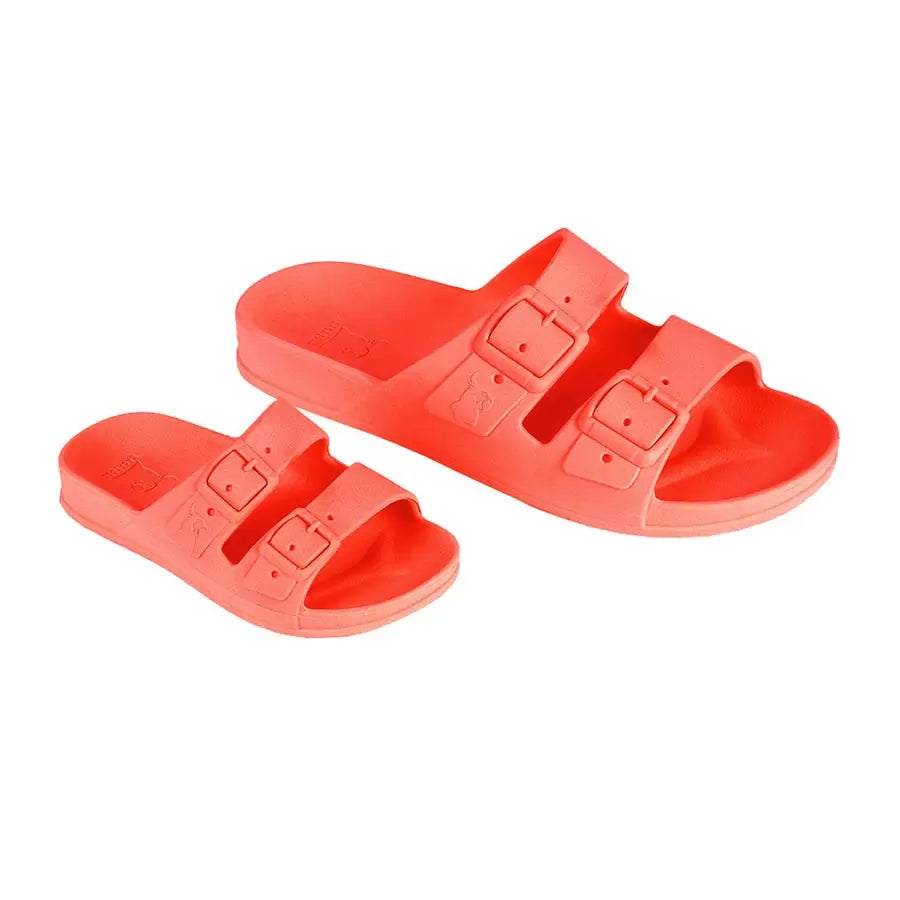 CHANCLAS CACATOES RIO DE JANEIRO CORAIL