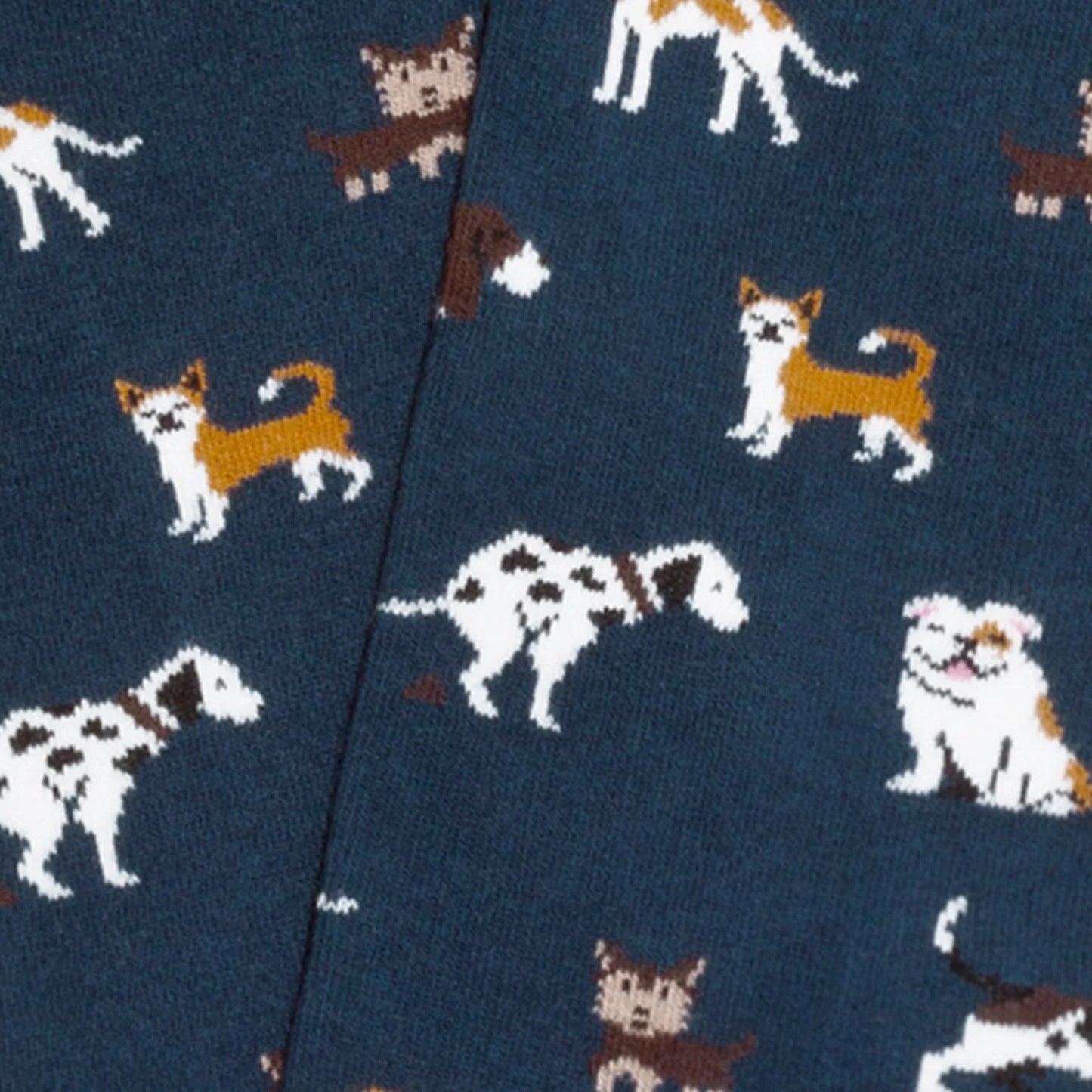 CALCETIN JIMMY LION DOGS