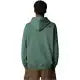 SUDADERA CAPUCHA THENORTH FACE NF0A8C1BAQI