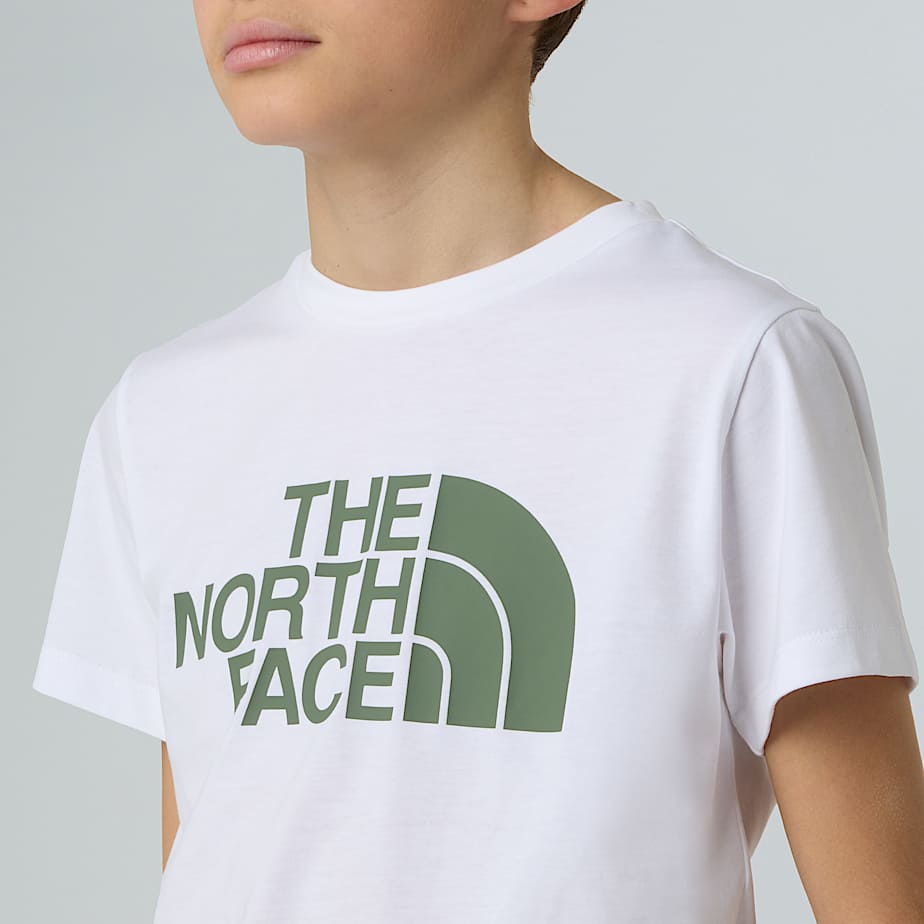 CAMISETA THE NORTH FACE NF0A8DRN9ZN