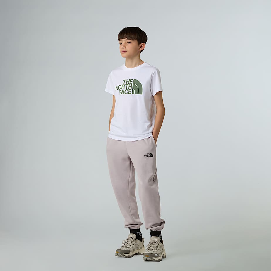 CAMISETA THE NORTH FACE NF0A8DRN9ZN