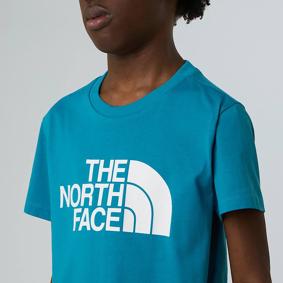 CAMISETA THE NORTH FACE NIÑO NF0A8DRN6HO