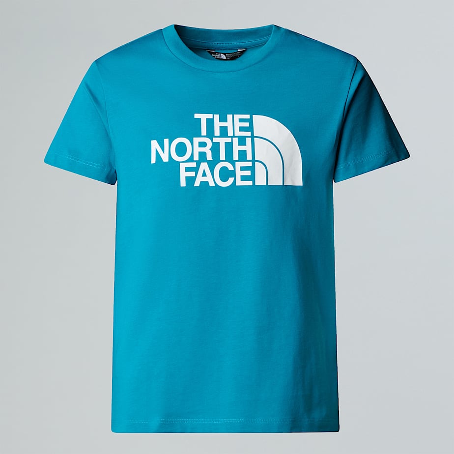 CAMISETA THE NORTH FACE NIÑO NF0A8DRN6HO