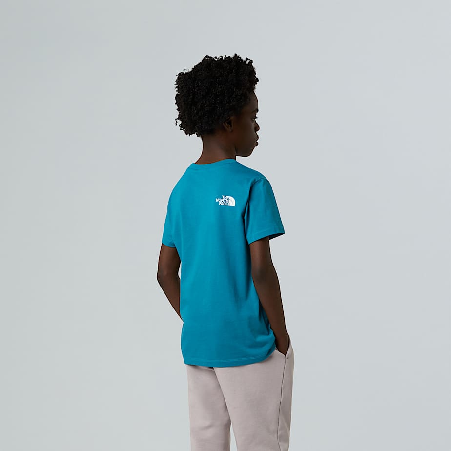 CAMISETA THE NORTH FACE NIÑO NF0A8DRN6HO