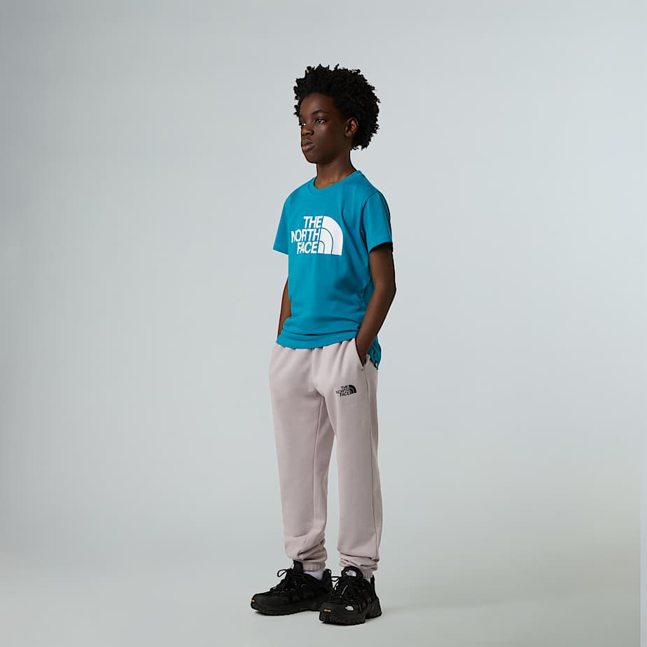 CAMISETA THE NORTH FACE NIÑO NF0A8DRN6HO