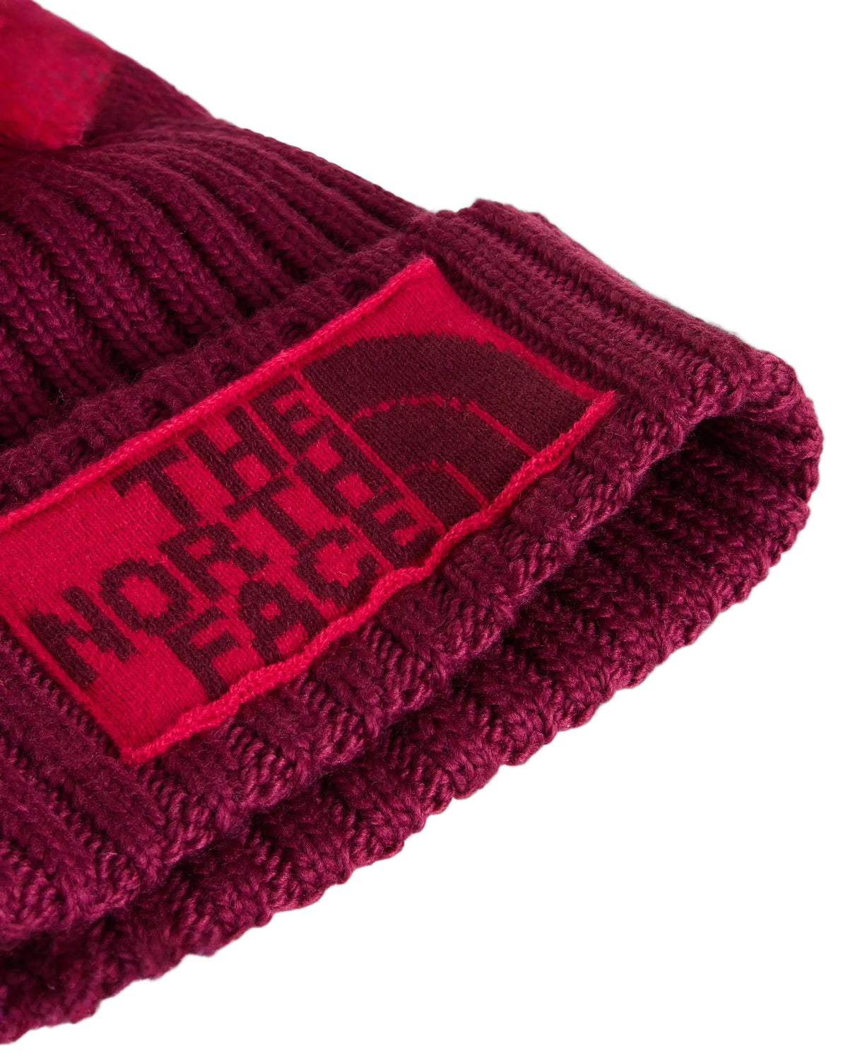 GORRO DE ESQUIAR THE NORTH FACE NF0A7WJORGW