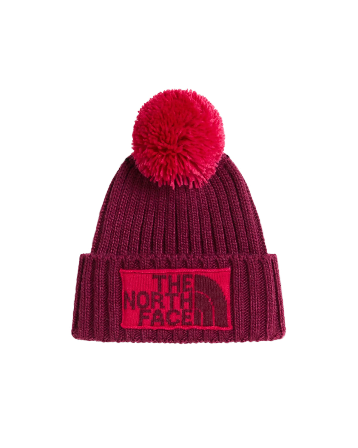 GORRO DE ESQUIAR THE NORTH FACE NF0A7WJORGW