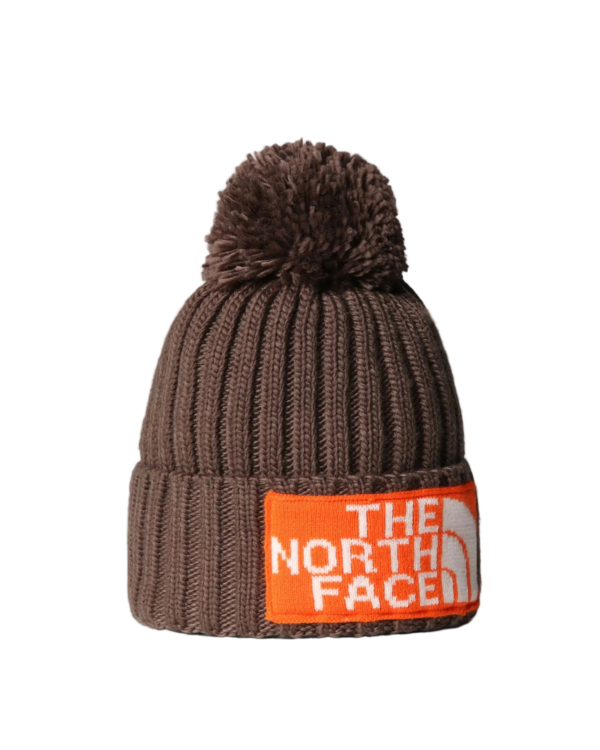 GORRO DE ESQUIAR THE NORTH FACE NF0A7WJO88O