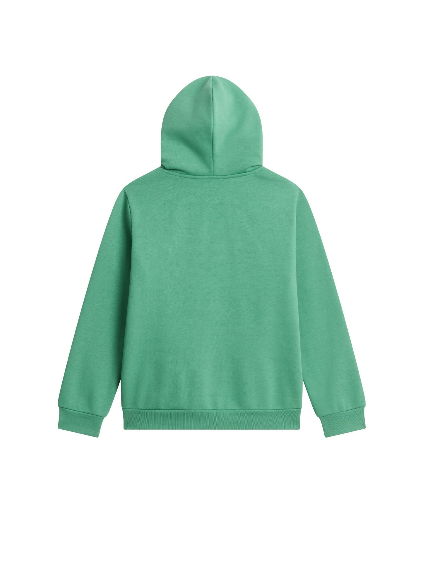 SUDADERA KIDS THE NORTH FACE EVOLUTION NF0A8CV6G57