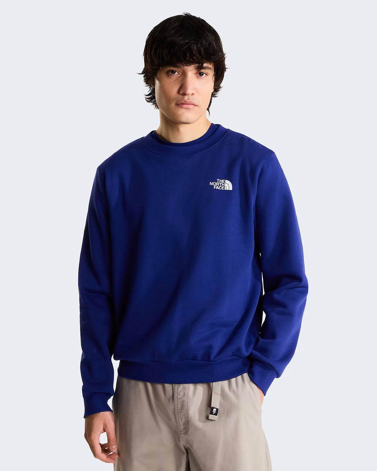 SUDADERA HOMBRE THE NORTH FACE NSE EVOLUTION NF0A8FD3NLV