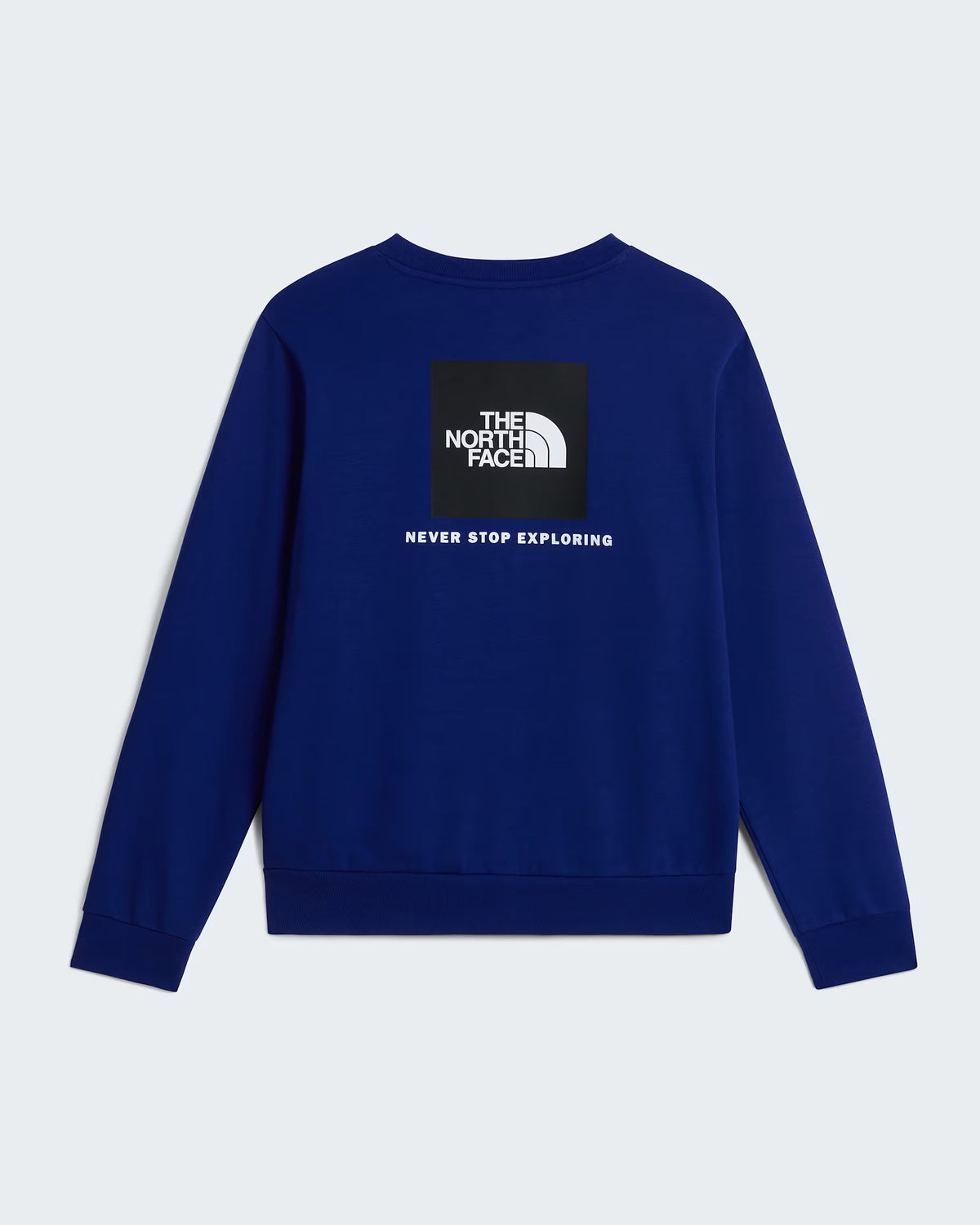 SUDADERA HOMBRE THE NORTH FACE NSE EVOLUTION NF0A8FD3NLV