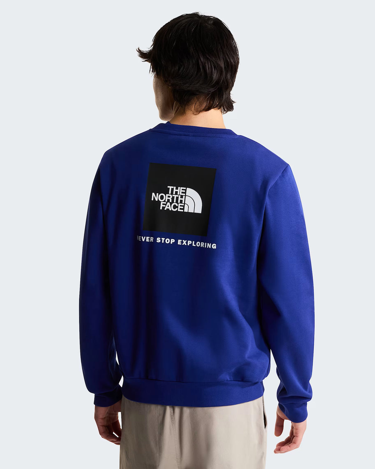 SUDADERA HOMBRE THE NORTH FACE NSE EVOLUTION NF0A8FD3NLV